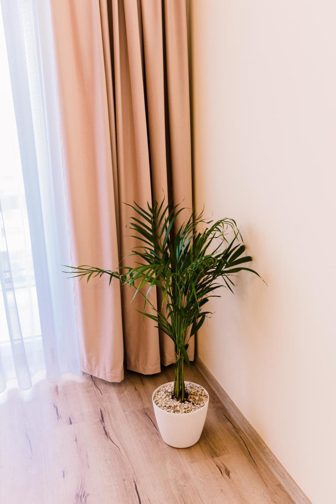 Central White Apartment ซาตูมาเร ภายนอก รูปภาพ